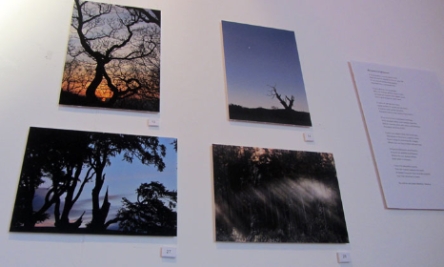 Sounds of Shropshire exhibition at the Hive
